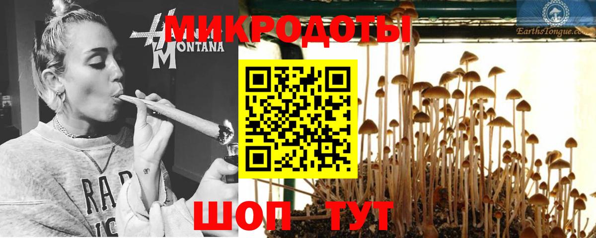 Полысаево  Галлюциногенные грибы Psilocybe  Галлюциногенные грибы Magic Shrooms  Вход с VPN 